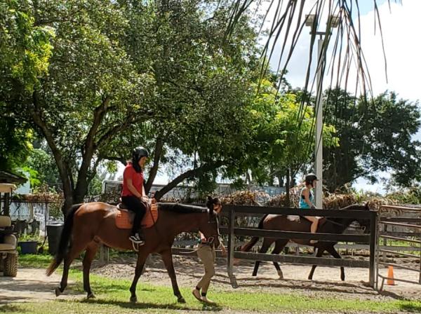 Miami International Riding Club Sales