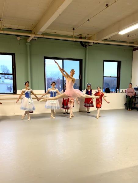 Metrowest Dance Academy