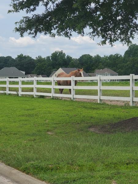 Bridlewood Equestrian Center/Suffolk