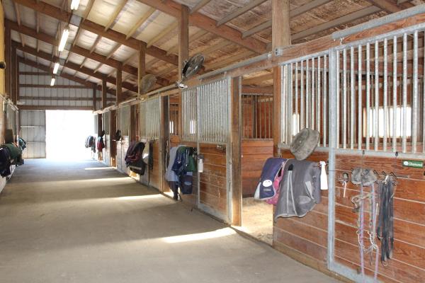 Bridlewood Equestrian Center/Suffolk