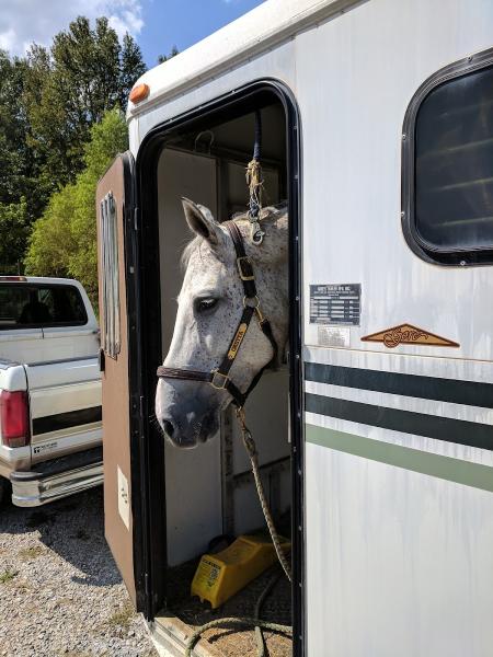 James Creek Stables