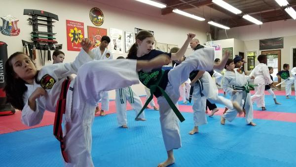 Bellevue Martial Arts Academy LLC