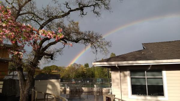 Alpine Hills Tennis & Swimming