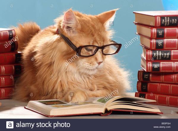 Mathmagic Tutoring