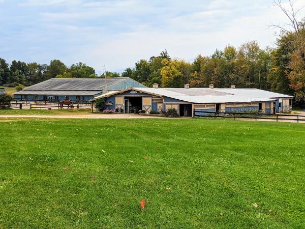 Cedar Lodge Stables