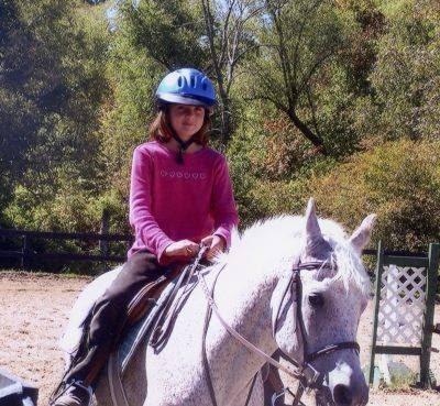Cedar Lodge Stables