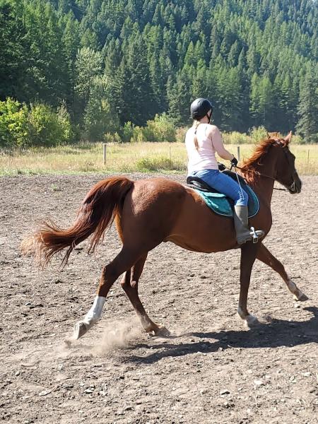 Miller Creek Stables