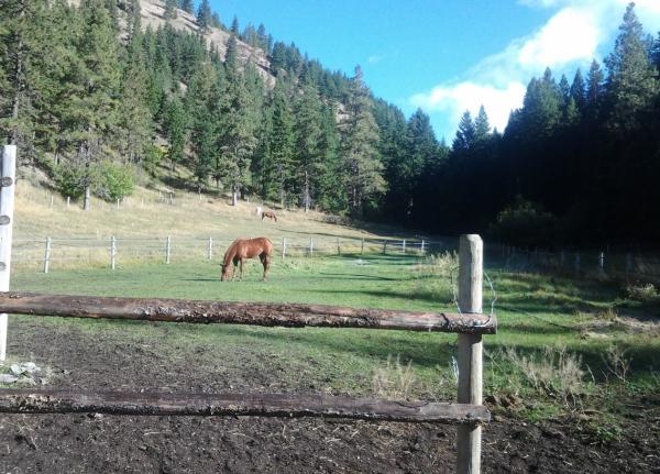 Miller Creek Stables