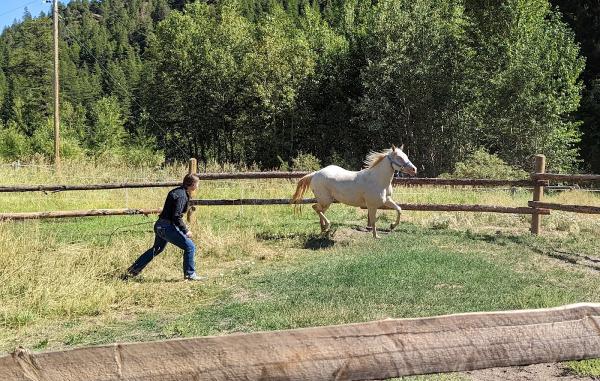 Miller Creek Stables