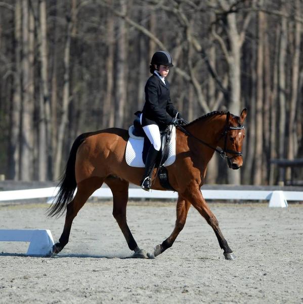 Blue Ribbon Riding Academy