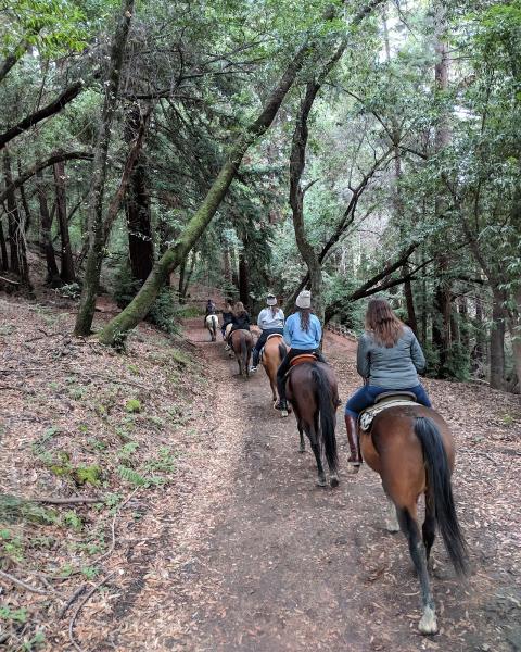 Chaparral Ranch at Woodside