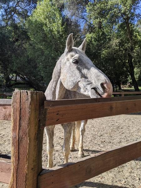 Chaparral Ranch at Woodside