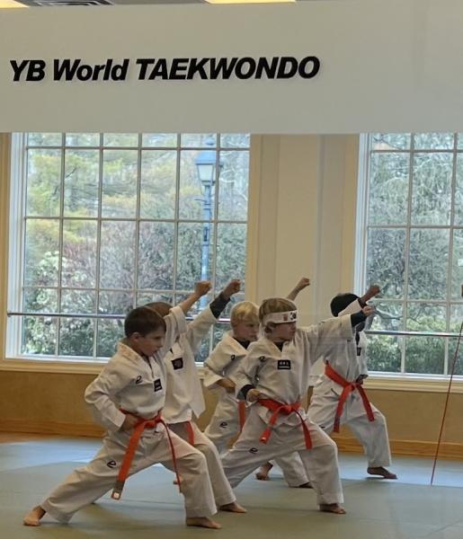 YB World Taekwondo Academy