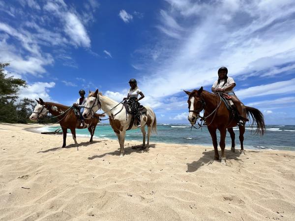 Oahu Horse Back Rides