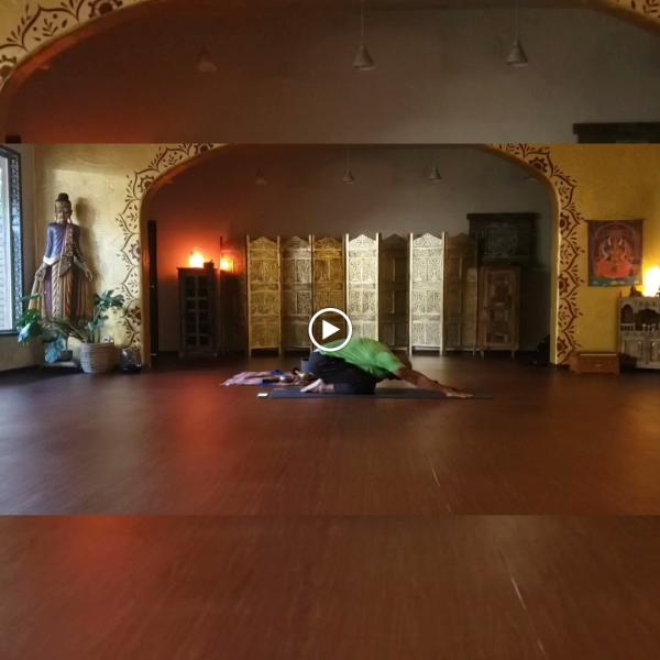 Yogalution Movement & Wellness