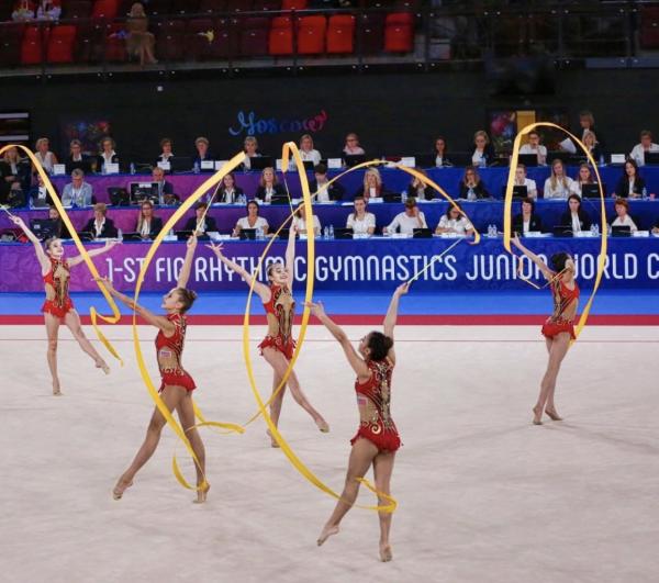 Vitrychenko Gymnastics Academy in Chicago