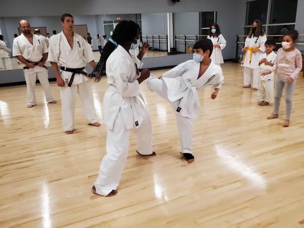 Phoenix Kyokushin Karate