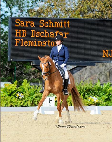 Sara Schmitt Dressage