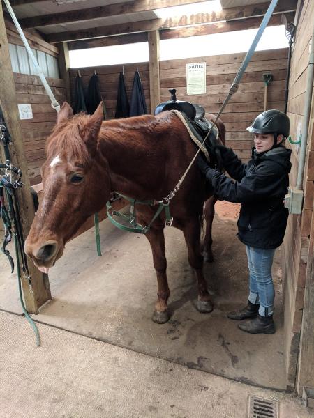 Dream Ridge Stables