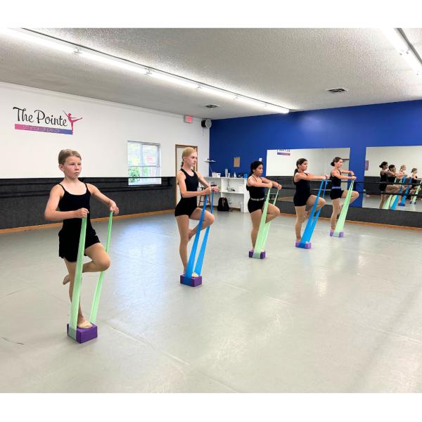 The Pointe School of Dance