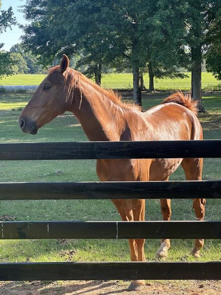 Morning Run Farm