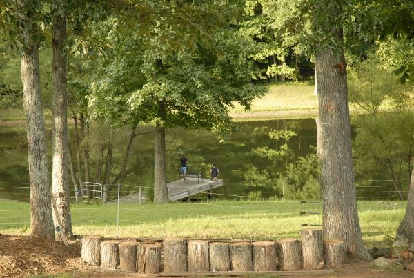 Canter Hill Stables