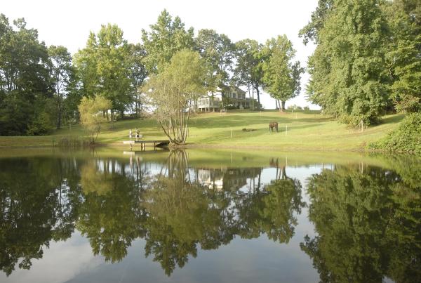 Canter Hill Stables