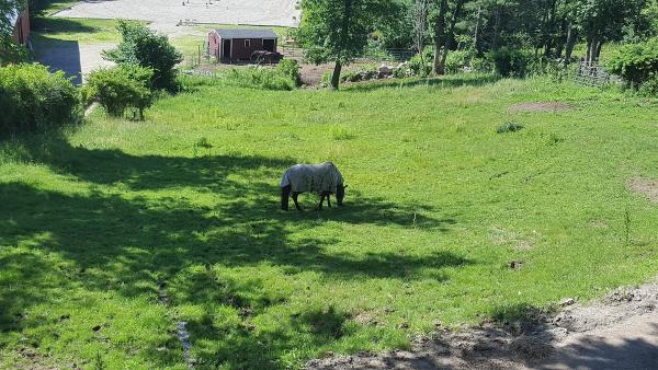 Walnut Hollow Farm