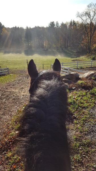 Walnut Hollow Farm