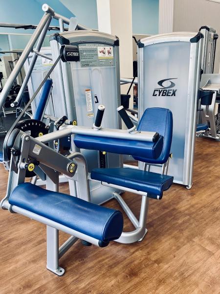 Homestead Gym & Training