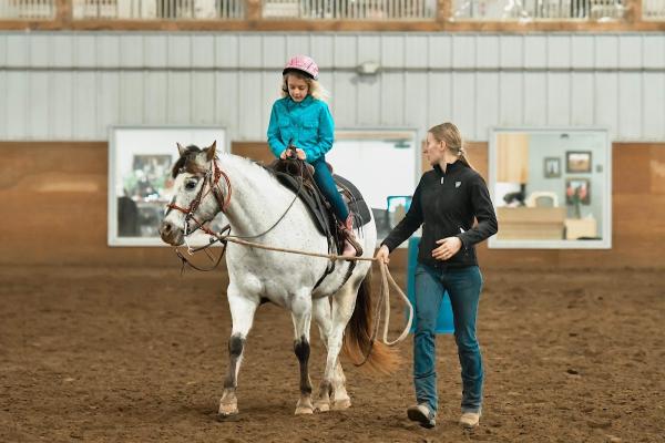 Bearbower Versatility Horses