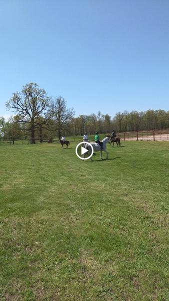 Heritage Livestock