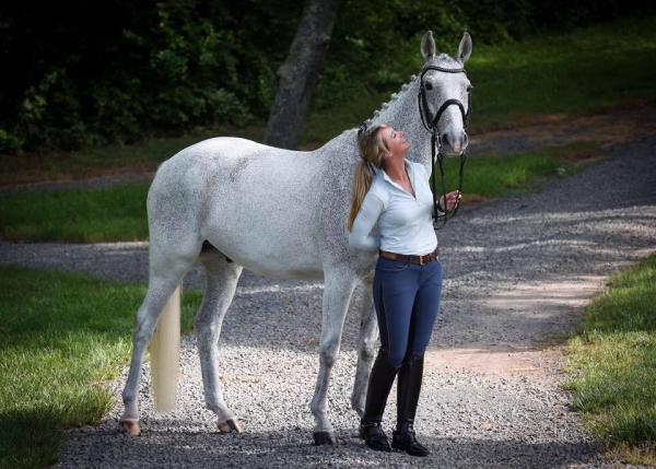 LCH Equestrian at Sunflower Hill Farm