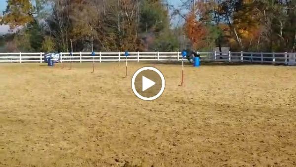Bobcat Farm- Cathie Hatrick-Anderson