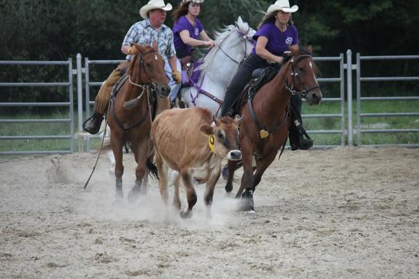 Bobcat Farm- Cathie Hatrick-Anderson