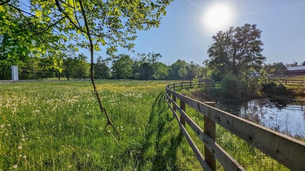 Emerald Isles Eventing Center