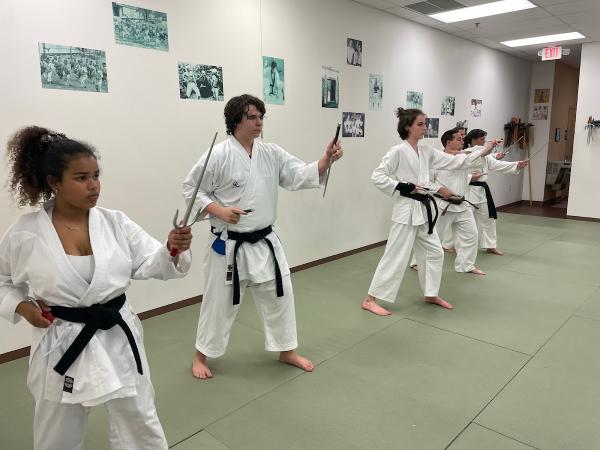 Ingram's Okinawan Karate