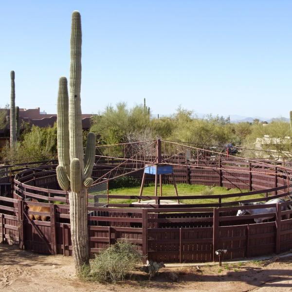 Twisted Tree Farm