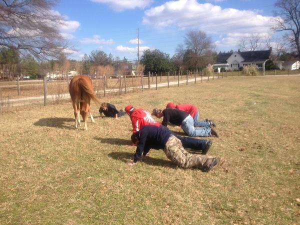 C 2 it Equine Therapy Ranch