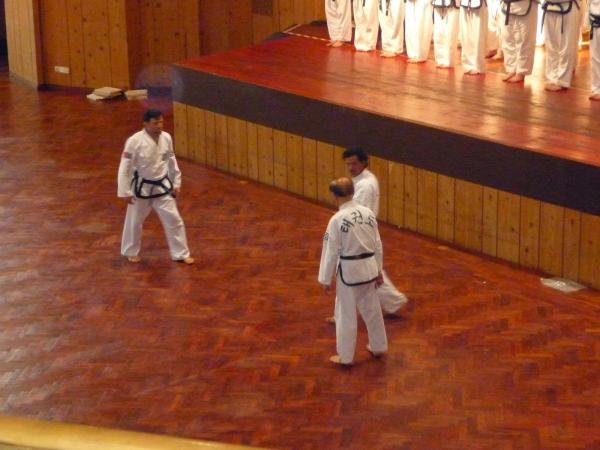 Traditional Taekwondo Center of Davie