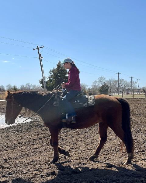 Healing Reins Ranch