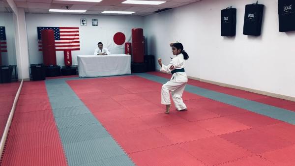 Karate Do Shito Kai Des Moines