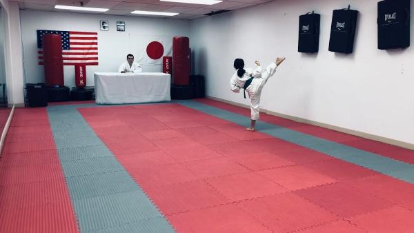 Karate Do Shito Kai Des Moines
