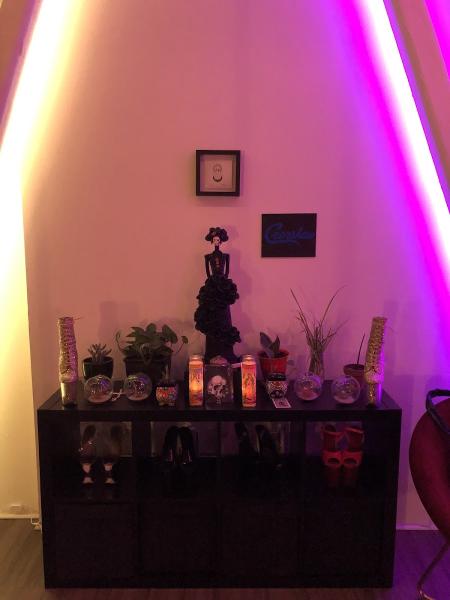 Black Widow Pole Arts
