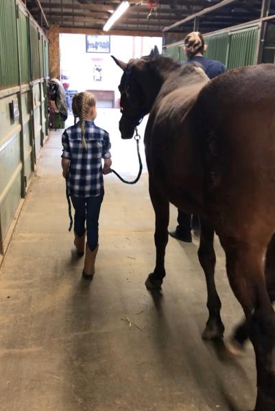 Firefly Equestrian Center