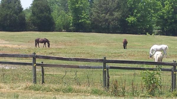 Rainbow Acres