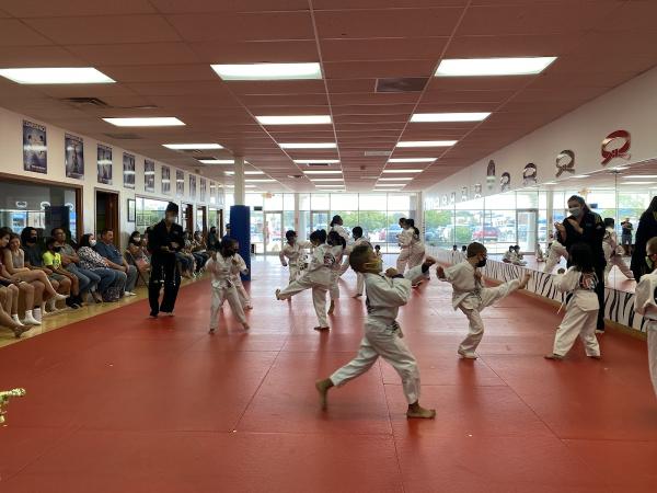 Tiger Woo's World Class Tae Kwon Do & Family Martial Arts