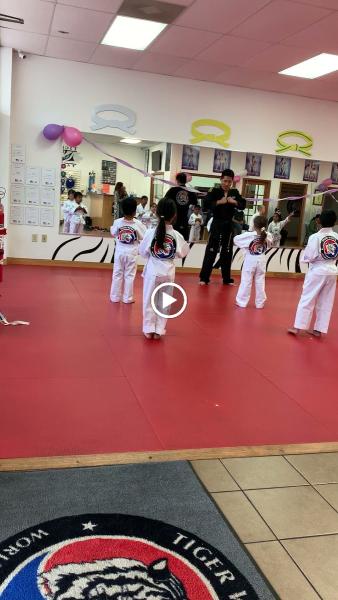 Tiger Woo's World Class Tae Kwon Do & Family Martial Arts