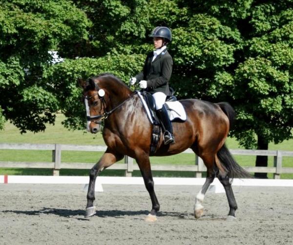 Allison Spivey Dressage