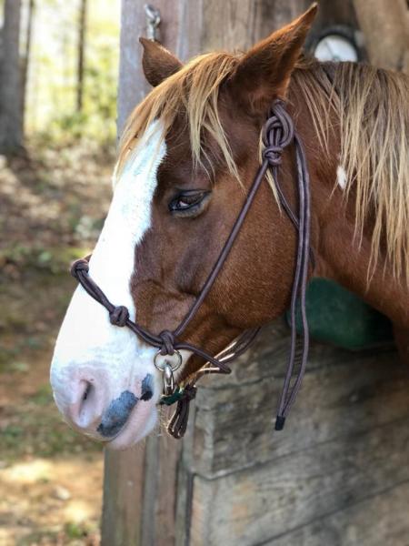 Saddle View Outfitters